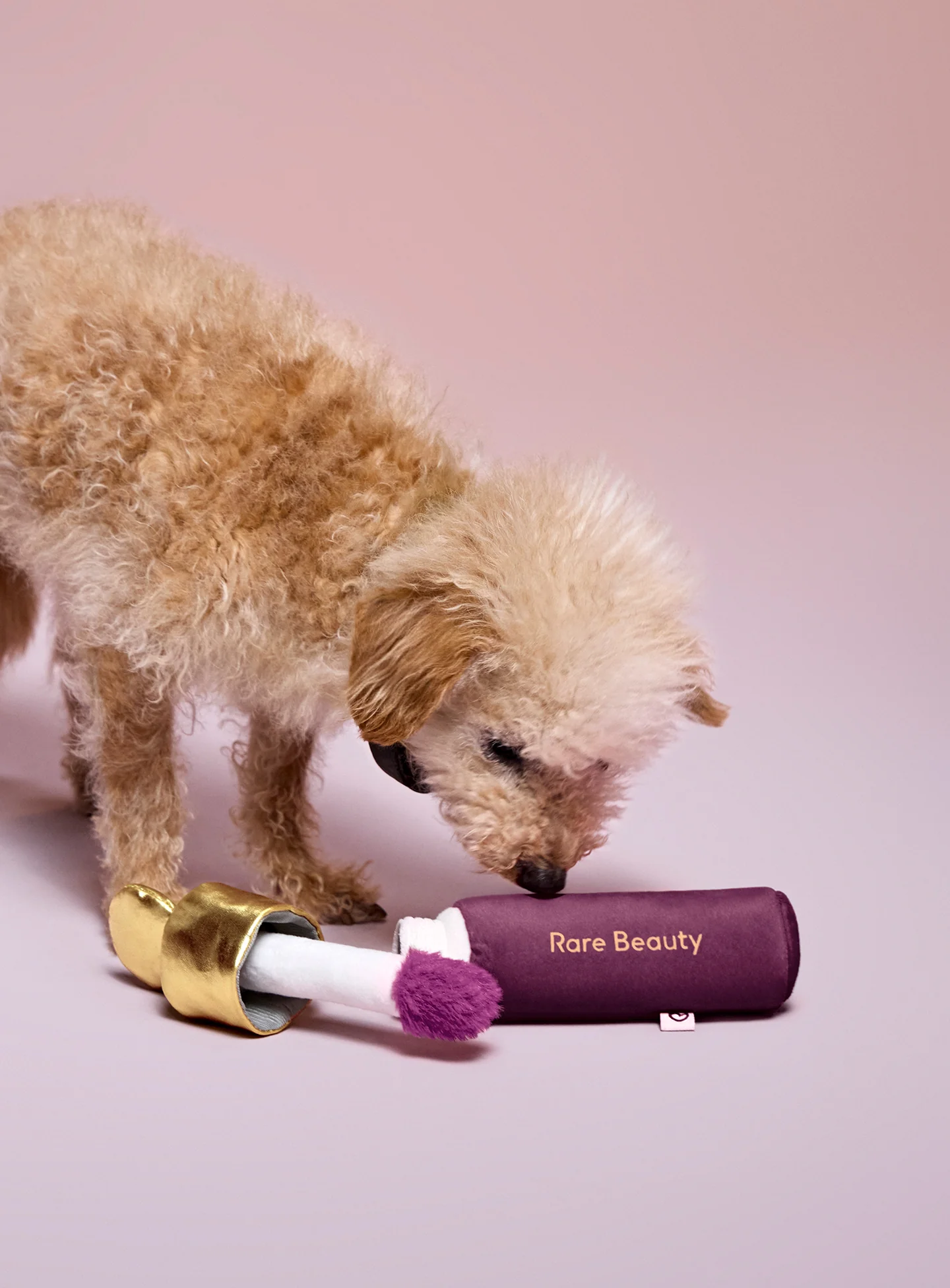 Soft Pooch Blush Dog Toy - Faith - Image 5